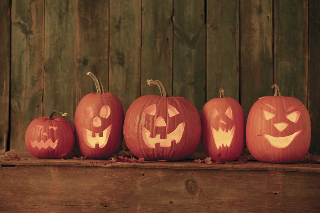 Five carved Jack o' Lanterns with scary faces.
