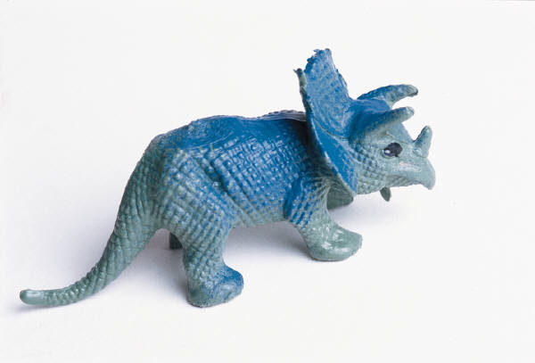 a photograph of a toy Triceratops.