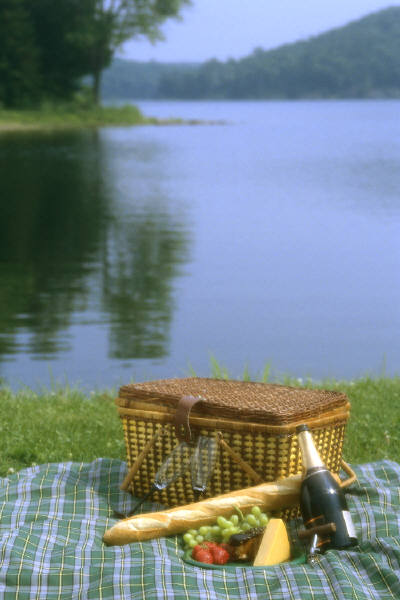 Picnic near a lake.